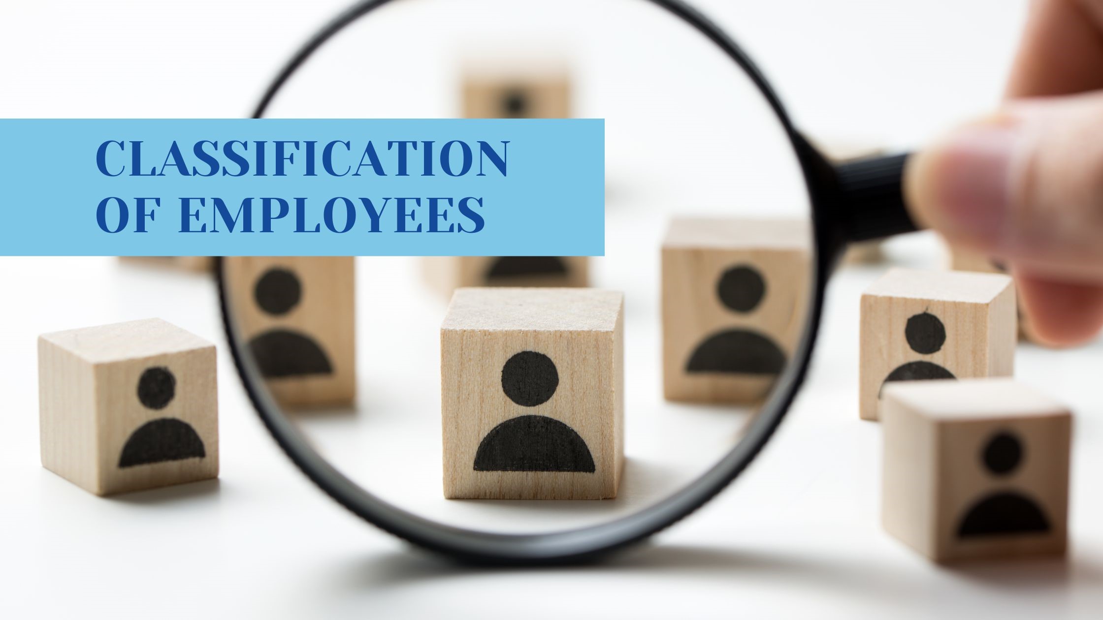 Classification of Employees